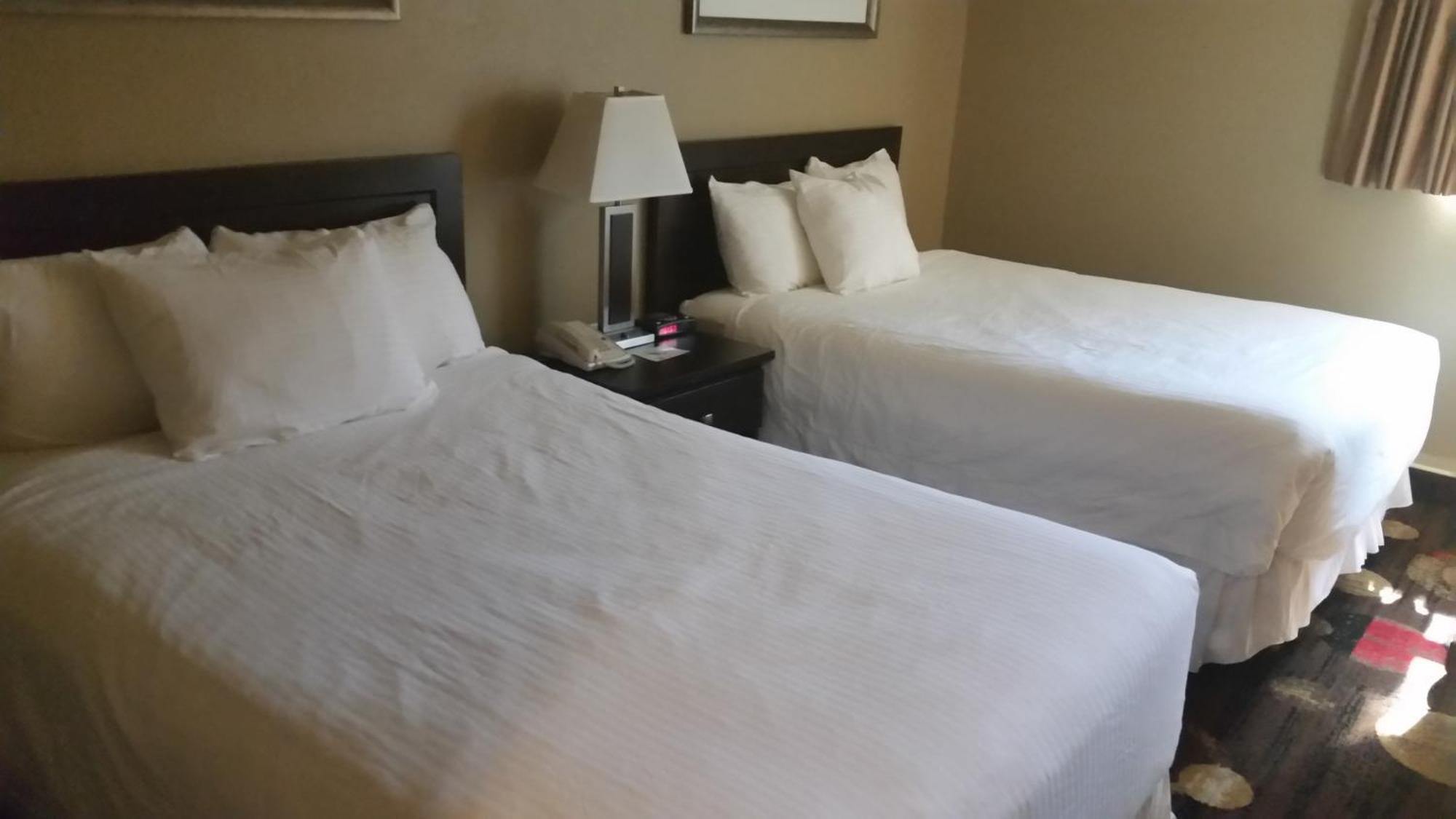 Stonebridge Hotel Fort Mcmurray Værelse billede
